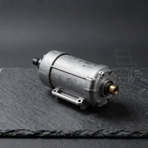 Starter Motor Assembly